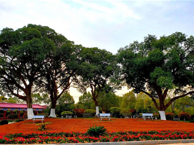 南昌福泰陵园官网